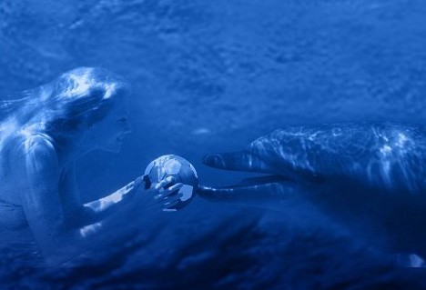 cariba a delfin.jpg